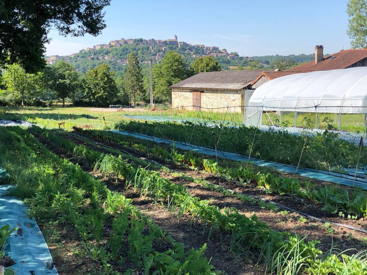 Gite A La Ferme De Verdurette 西埃勒河畔科尔德 外观 照片