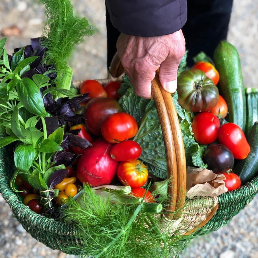 Gite A La Ferme De Verdurette 西埃勒河畔科尔德 外观 照片