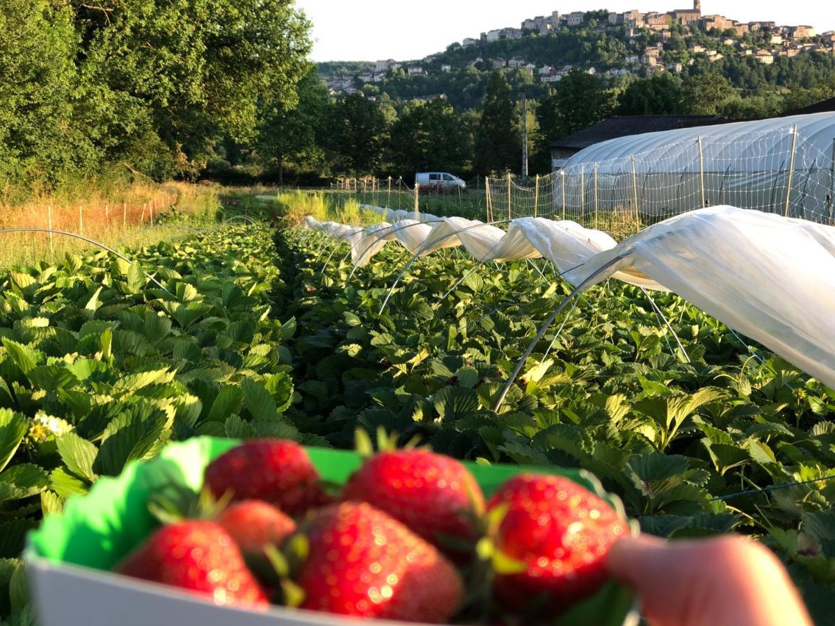 Gite A La Ferme De Verdurette 西埃勒河畔科尔德 外观 照片