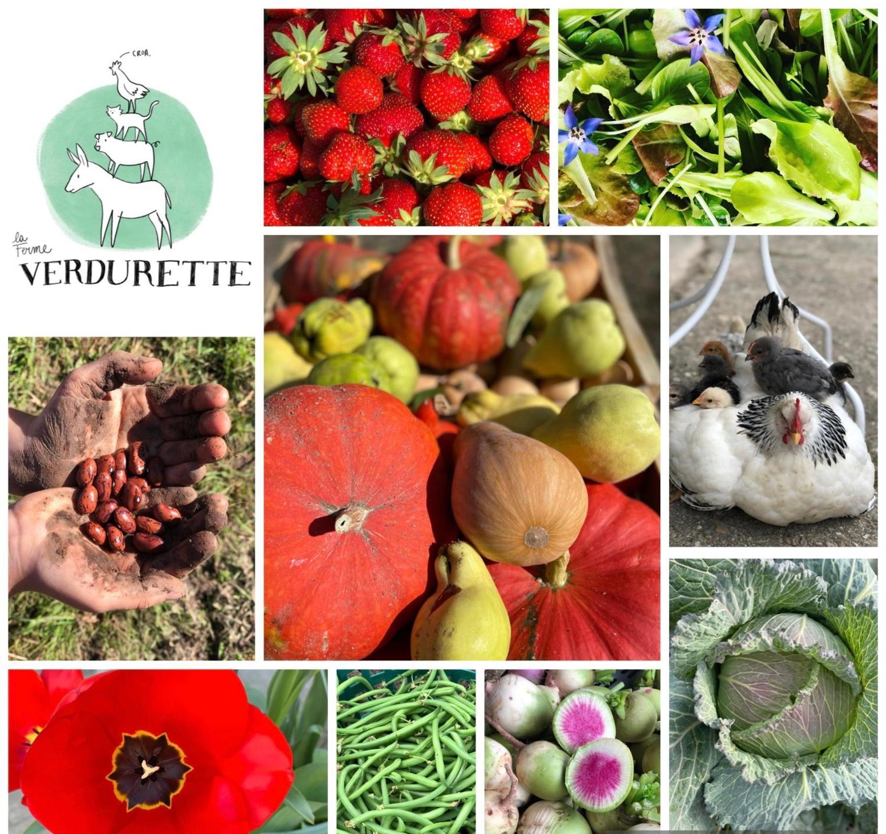 Gite A La Ferme De Verdurette 西埃勒河畔科尔德 外观 照片